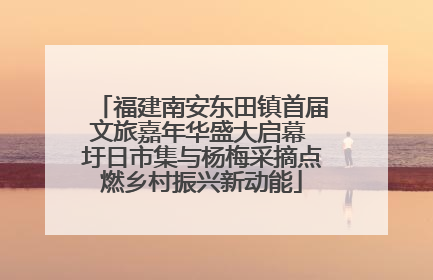 福建南安东田镇首届文旅嘉年华盛大启幕 圩日市集与杨梅采摘点燃乡村振兴新动能