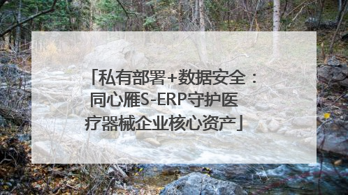 私有部署+数据安全：同心雁S-ERP守护医疗器械企业核心资产