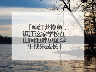 种红薯摸鱼，镇江这家学校在田间池畔见证学生快乐成长