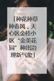 种花种草种春风，天心区金桂小区“金美花园”种出治理新气象