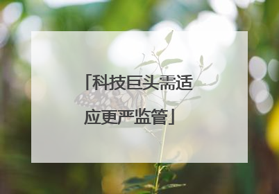 科技巨头需适应更严监管