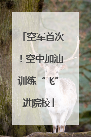 空军首次！空中加油训练“飞”进院校