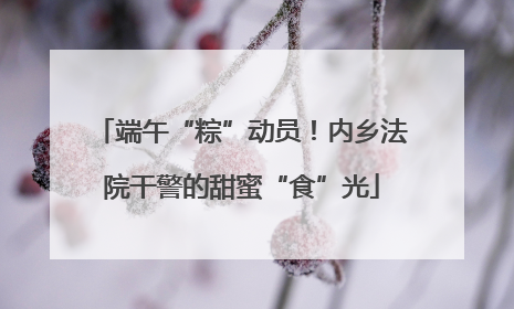 端午“粽”动员！内乡法院干警的甜蜜“食”光