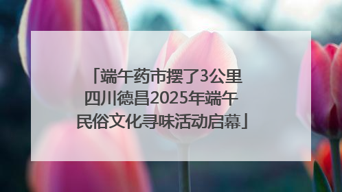 端午药市摆了3公里 四川德昌2025年端午民俗文化寻味活动启幕