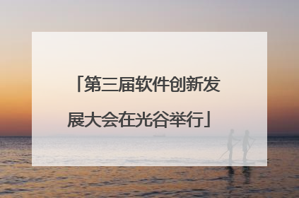 第三届软件创新发展大会在光谷举行