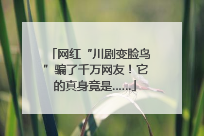 网红“川剧变脸鸟”骗了千万网友！它的真身竟是……