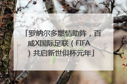 罗纳尔多燃情助阵，百威X国际足联（FIFA）共启新世俱杯元年