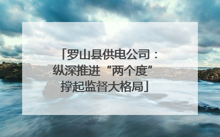 罗山县供电公司：纵深推进“两个度” 撑起监督大格局