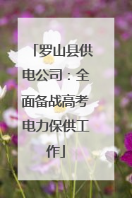 罗山县供电公司：全面备战高考电力保供工作
