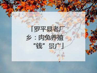 罗平县老厂乡：肉兔养殖“钱”景广