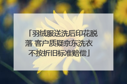 羽绒服送洗后印花脱落 客户质疑京东洗衣不按折旧标准赔偿
