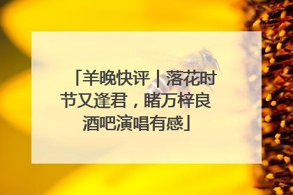 羊晚快评｜落花时节又逢君，睹万梓良酒吧演唱有感