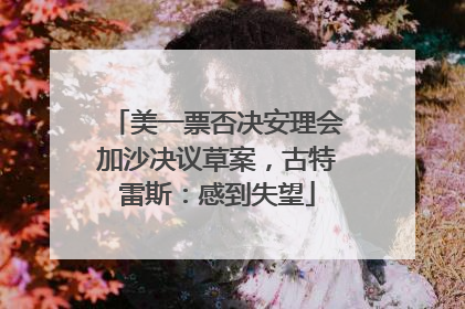 美一票否决安理会加沙决议草案，古特雷斯：感到失望