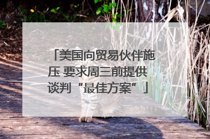 美国向贸易伙伴施压 要求周三前提供谈判“最佳方案”