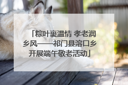 粽叶裹温情 孝老润乡风——祁门县溶口乡开展端午敬老活动
