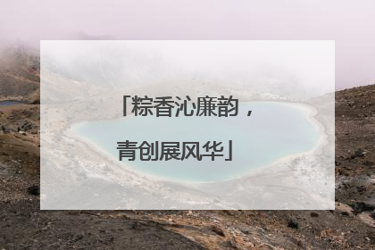 粽香沁廉韵，青创展风华
