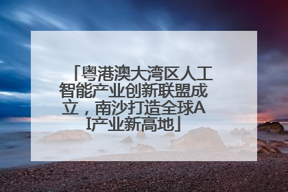 粤港澳大湾区人工智能产业创新联盟成立，南沙打造全球AI产业新高地