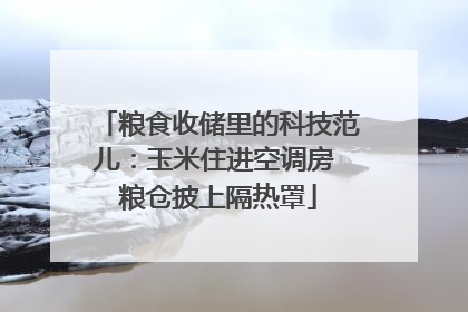粮食收储里的科技范儿：玉米住进空调房 粮仓披上隔热罩
