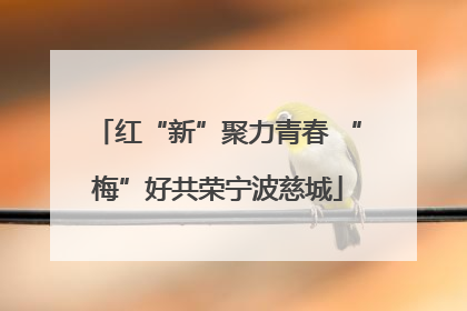 红“新”聚力青春 “梅”好共荣宁波慈城