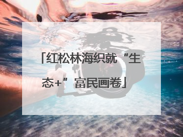 红松林海织就“生态+”富民画卷