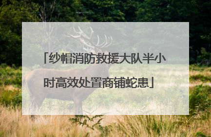 纱帽消防救援大队半小时高效处置商铺蛇患