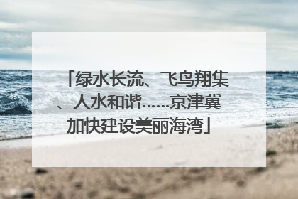 绿水长流、飞鸟翔集、人水和谐……京津冀加快建设美丽海湾