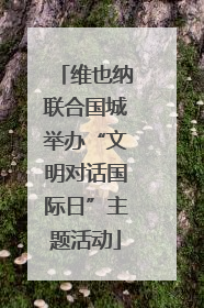 维也纳联合国城举办“文明对话国际日”主题活动