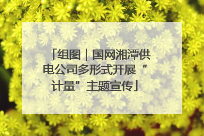 组图｜国网湘潭供电公司多形式开展“计量”主题宣传