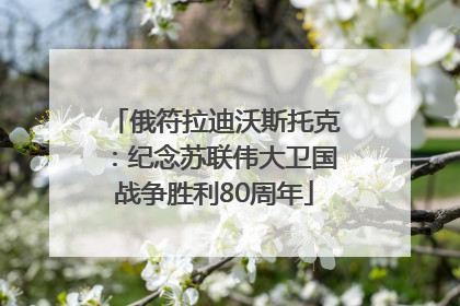 俄符拉迪沃斯托克：纪念苏联伟大卫国战争胜利80周年