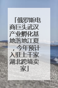 俄罗斯电商巨头武汉产业孵化基地落地江夏，今年预计入驻上千家湖北跨境卖家