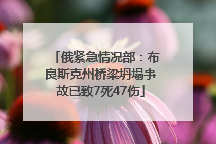 俄紧急情况部：布良斯克州桥梁坍塌事故已致7死47伤