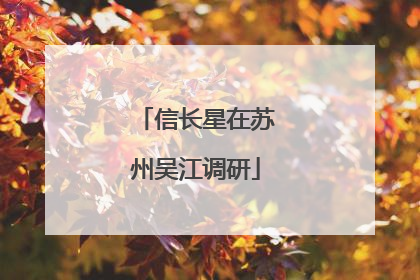 信长星在苏州吴江调研