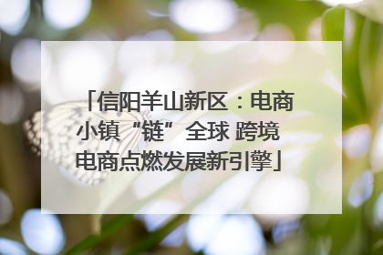 信阳羊山新区：电商小镇“链”全球 跨境电商点燃发展新引擎