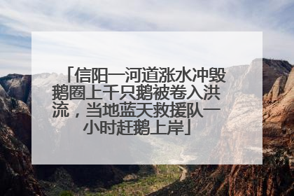 信阳一河道涨水冲毁鹅圈上千只鹅被卷入洪流，当地蓝天救援队一小时赶鹅上岸