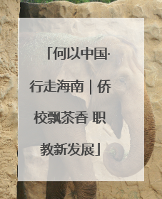 何以中国·行走海南｜侨校飘茶香 职教新发展