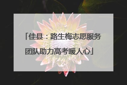 佳县：路生梅志愿服务团队助力高考暖人心