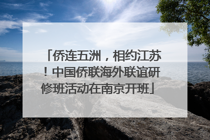 侨连五洲，相约江苏！中国侨联海外联谊研修班活动在南京开班