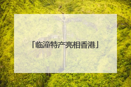 临潼特产亮相香港
