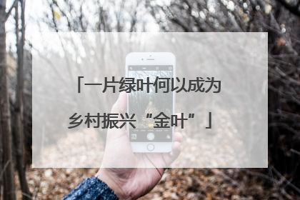 一片绿叶何以成为乡村振兴“金叶”