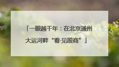 一眼越千年：在北京通州大运河畔“看·见殷商”