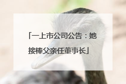 一上市公司公告：她接棒父亲任董事长