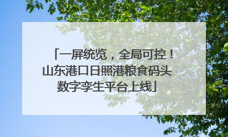 一屏统览，全局可控！山东港口日照港粮食码头数字孪生平台上线