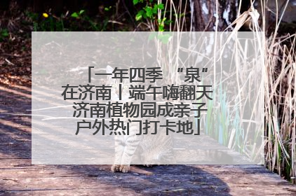 一年四季 “泉”在济南丨端午嗨翻天 济南植物园成亲子户外热门打卡地
