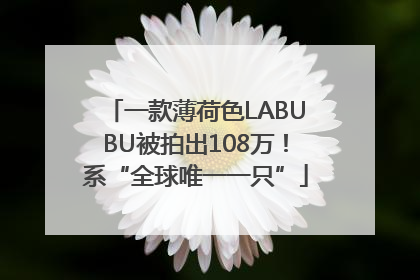 一款薄荷色LABUBU被拍出108万！系“全球唯一一只”