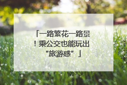 一路繁花一路景！乘公交也能玩出“旅游感”