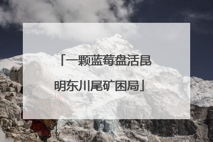 一颗蓝莓盘活昆明东川尾矿困局