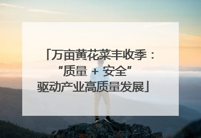 万亩黄花菜丰收季：“质量 + 安全” 驱动产业高质量发展