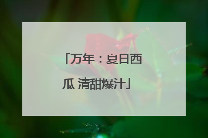 万年：夏日西瓜 清甜爆汁