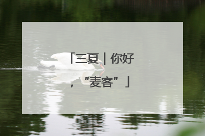 三夏｜你好，“麦客”