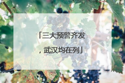 三大预警齐发，武汉均在列